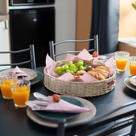 Jungle - Magnifique Avec Parking Prive - Paris-disney & Cdg A 25 Minutes *